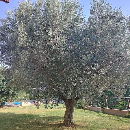 Casa Rosa, Country With Swimming Pool * Santa Maria di Paterno